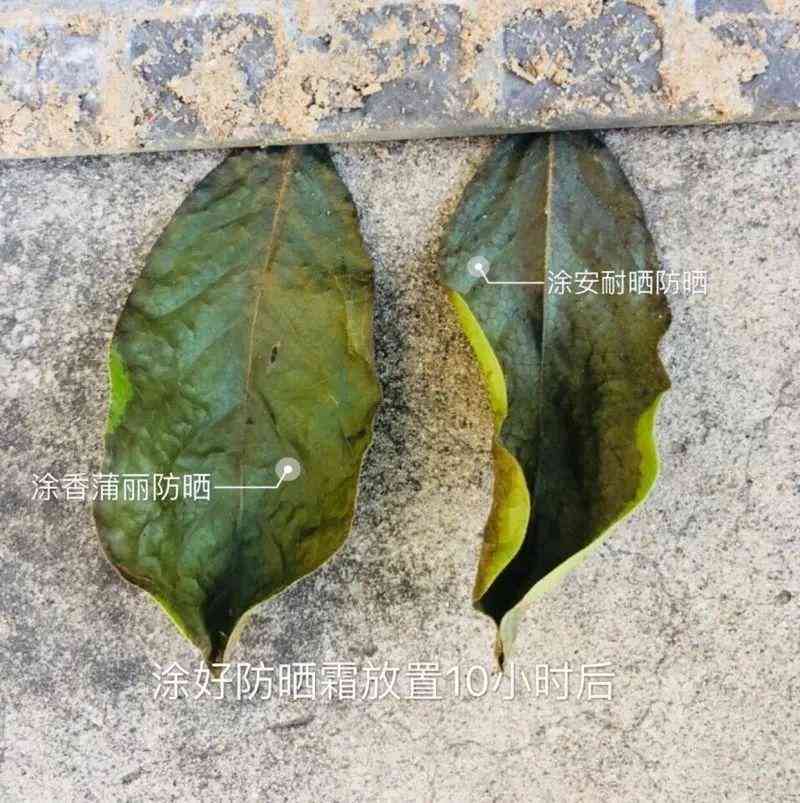 什么是可以一起用的化妝品(各種品牌的化妝品可以一起用嗎)插圖15