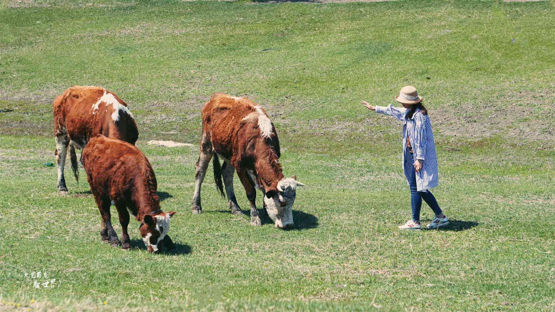 沈陽化妝品分裝青草(沈陽市青草電子商務(wù)有限公司)插圖3