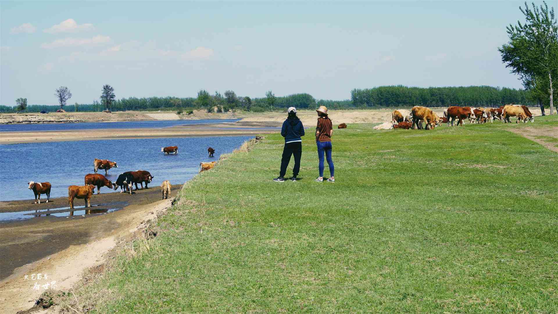沈陽化妝品分裝青草(沈陽市青草電子商務(wù)有限公司)插圖4