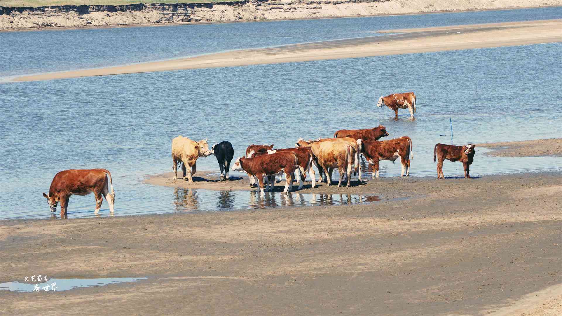沈陽化妝品分裝青草(沈陽市青草電子商務(wù)有限公司)插圖6