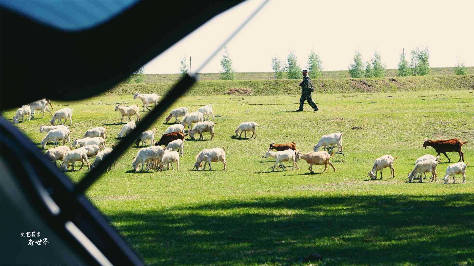 沈陽化妝品分裝青草(沈陽市青草電子商務(wù)有限公司)插圖14
