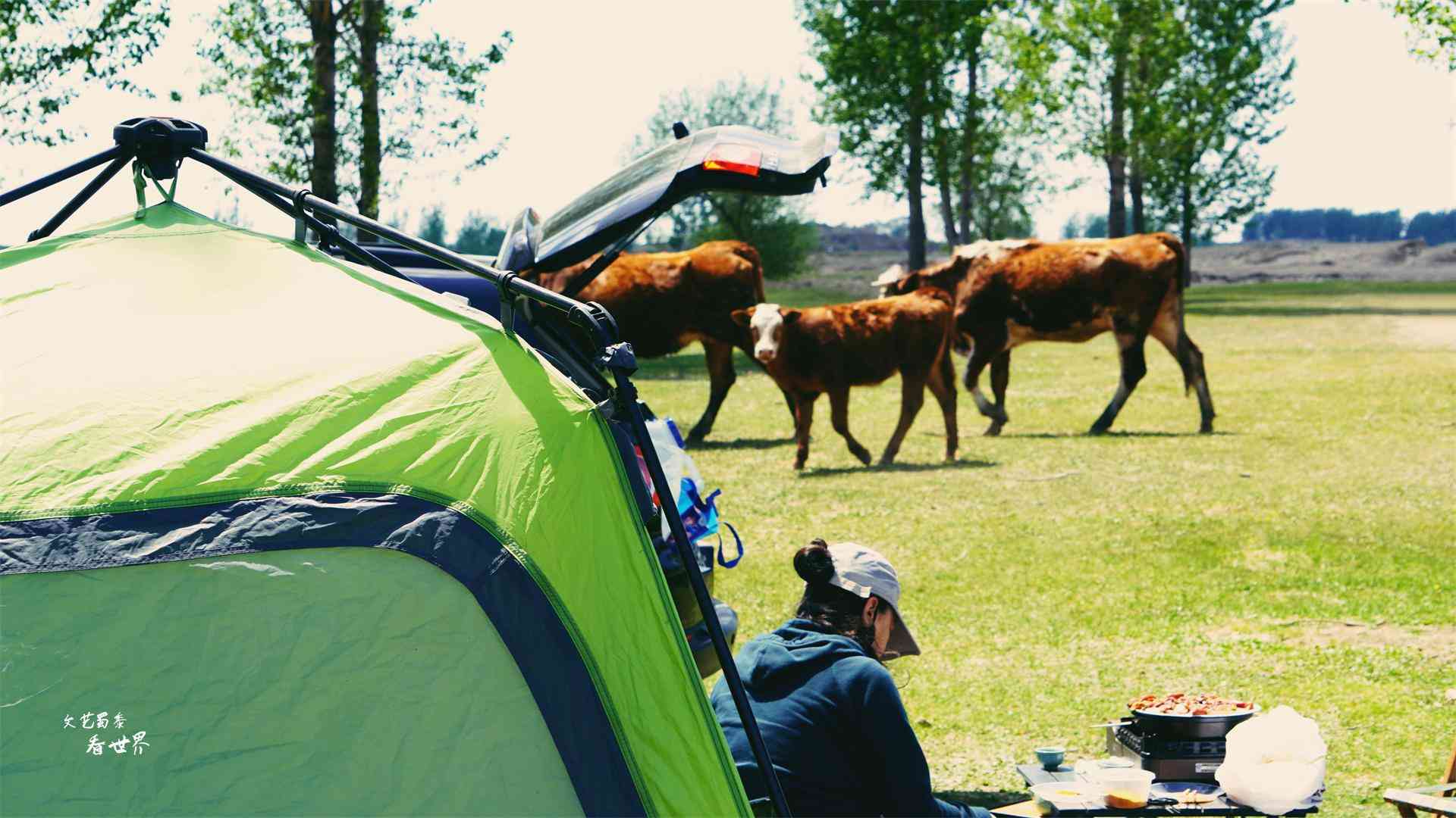 沈陽化妝品分裝青草(沈陽市青草電子商務(wù)有限公司)插圖18