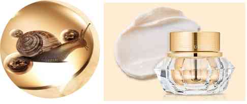 韓國(guó)伊思蝸牛黑化妝品(韓國(guó)化妝品蝸牛系列)插圖4