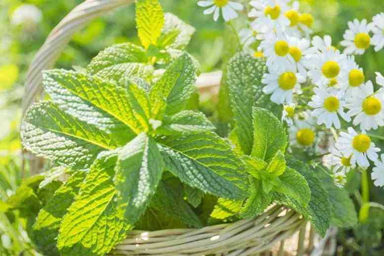 極簡油皮化妝品推薦(護膚品油皮推薦)插圖1