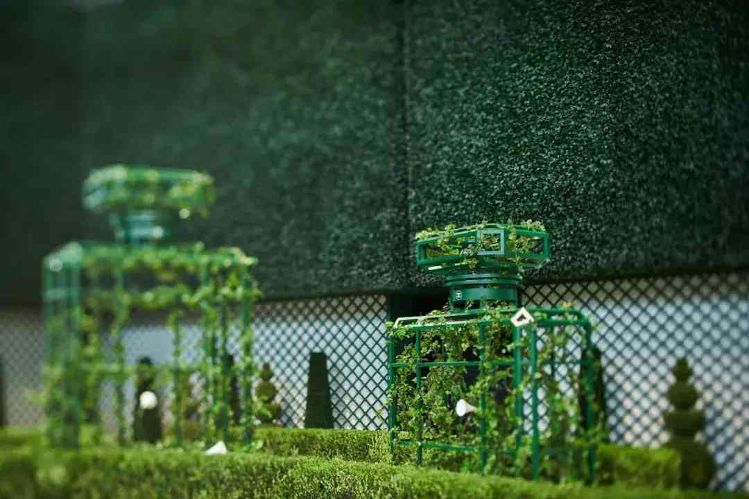 香奈兒化妝品怎么沒封口(香奈兒香水沒有塑封)插圖9