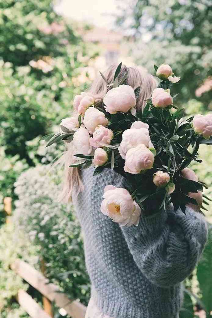 化妝品店擺什么花(女裝店適合擺什么花)