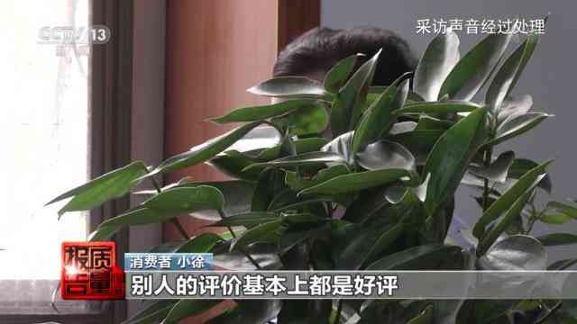 上海圣羅蘭化妝品廠(上海哪個(gè)商場有圣羅蘭化妝品)插圖1