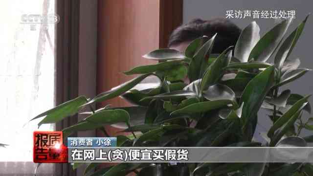 上海圣羅蘭化妝品廠(上海哪個(gè)商場有圣羅蘭化妝品)插圖3