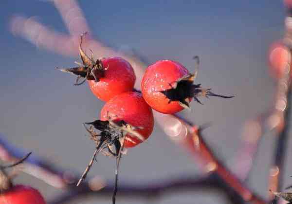 護膚靠化妝品還是食療(食療和化妝品哪個更有效果)插圖2