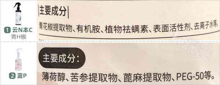 身上化妝品(肌膚化妝品)插圖7