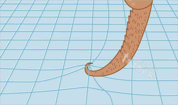 身上化妝品(肌膚化妝品)插圖9