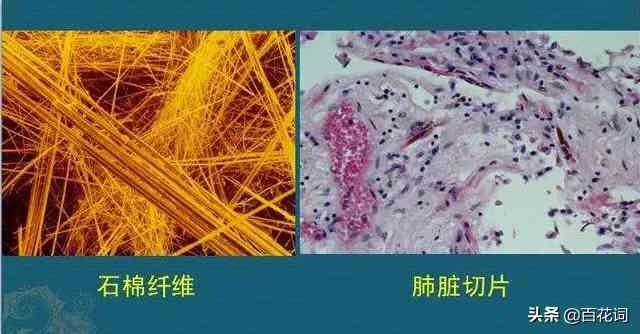化妝品醇類溶劑有哪些(醇類有機(jī)溶劑有哪些)插圖6