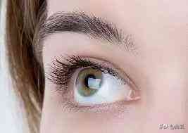 里美化妝品先后順序(美妝的先后順序)插圖19