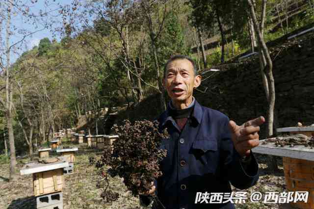 旬陽化妝品商會會長是誰(旬陽化妝品商會會長是誰呀)