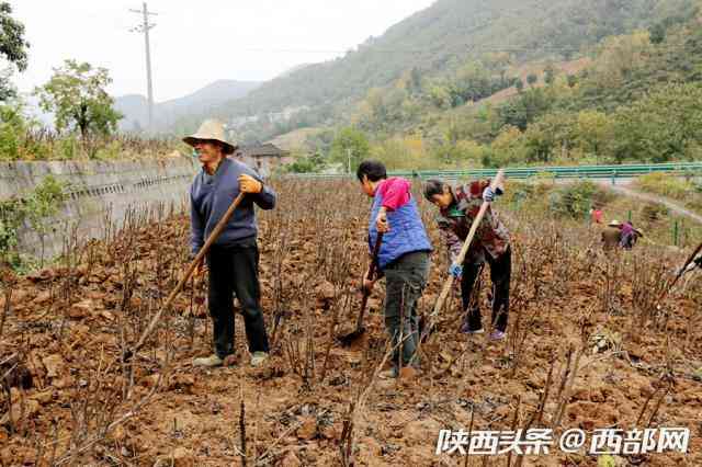 旬陽化妝品商會(huì)會(huì)長是誰(旬陽化妝品商會(huì)會(huì)長是誰呀)插圖1