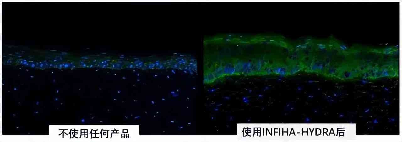 國內有名的化妝品公司(國內出名的化妝品公司)插圖4