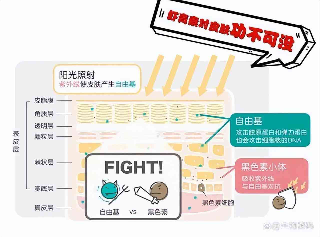 云問化妝品蝦青素(蝦青素 化妝品)插圖2