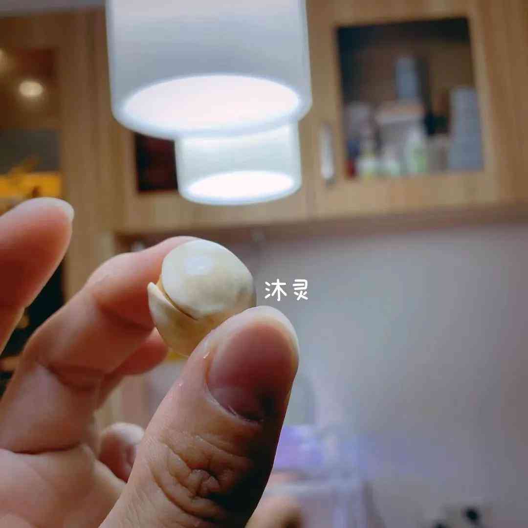 用化妝品做瓶子做開心果花(開心果殼手工制作花瓶)插圖1