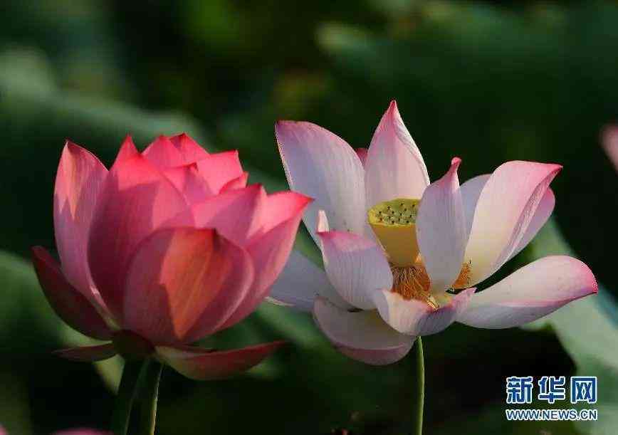 什么是醫(yī)美化妝品(醫(yī)美的化妝品)