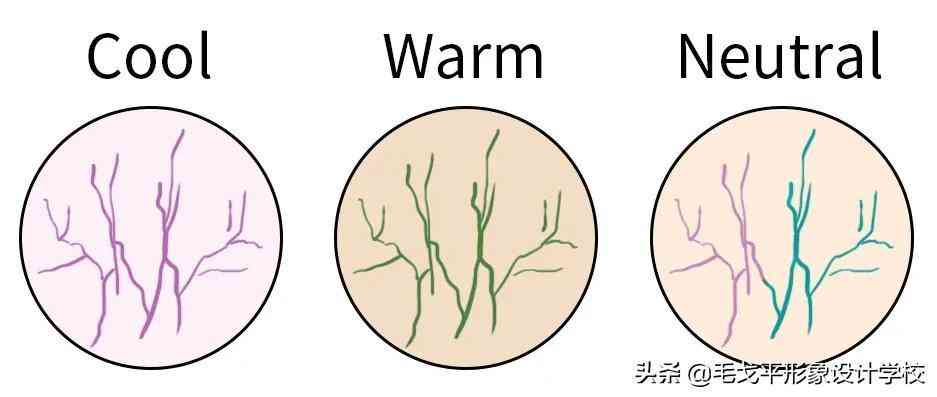 化妝品精致度怎么調(diào)高一些(化精致妝容需要哪些化妝品)插圖4