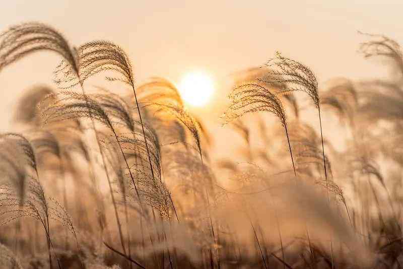 禪水系列化妝品怎么樣(嬋水化妝品是不是牌子好用嗎)插圖8