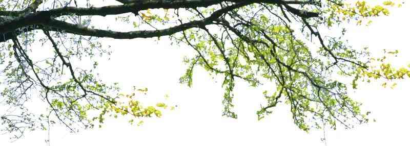 非特化妝品備案模板(非特化妝品備案流程)插圖4