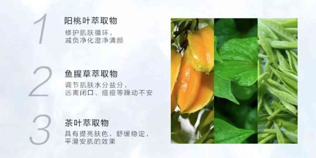 清冷易碎感化妝品(清淡化妝品)插圖8