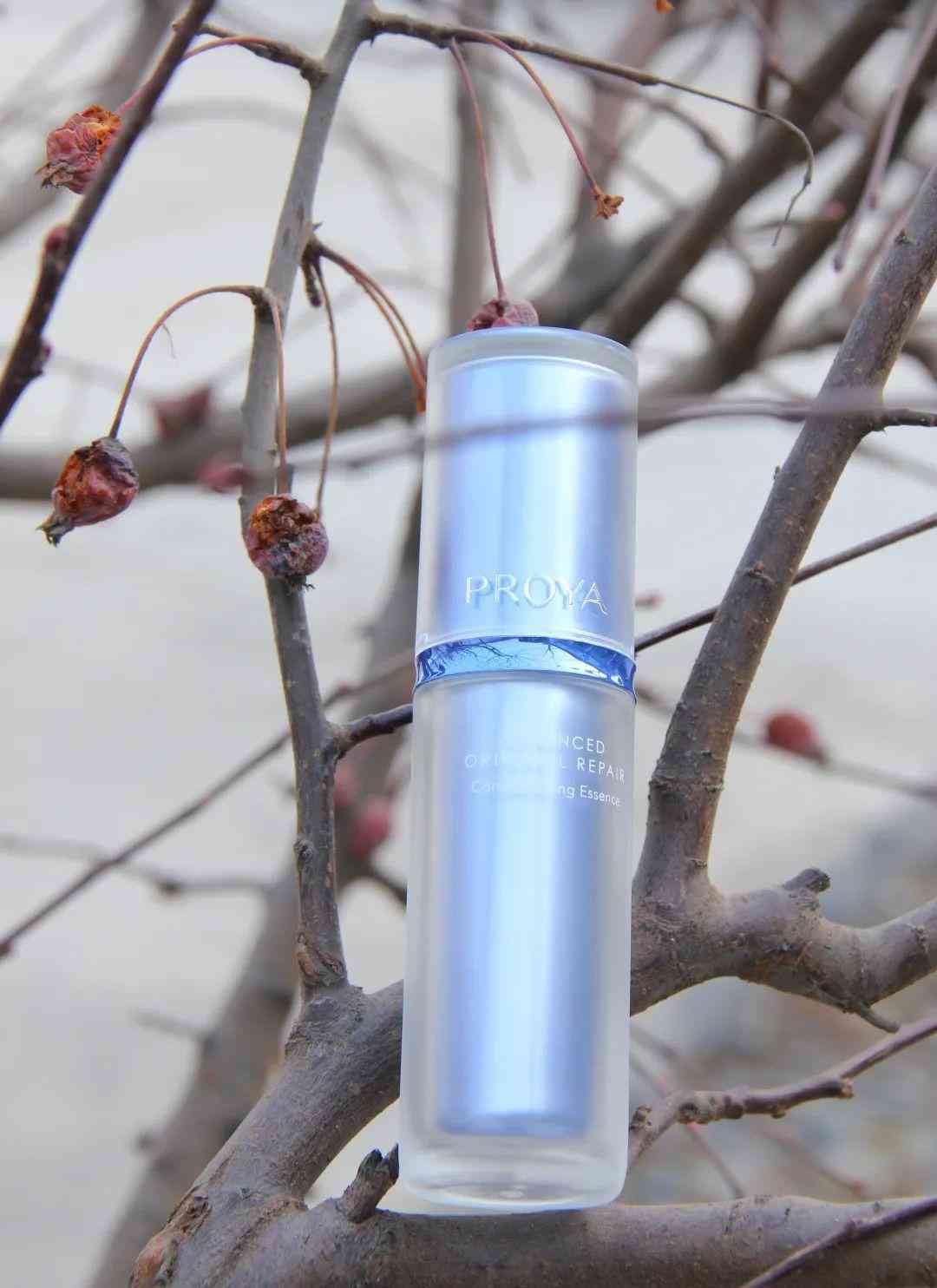 清冷易碎感化妝品(清淡化妝品)插圖16