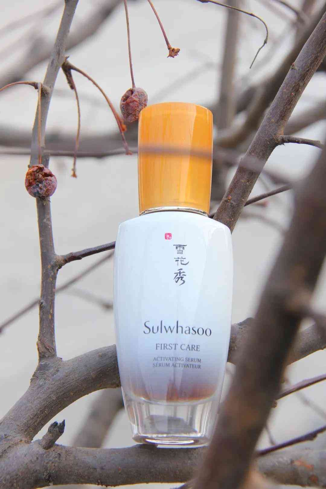 清冷易碎感化妝品(清淡化妝品)插圖26