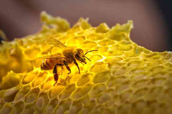 桐廬化妝品哪里買(桐廬化妝品哪里買便宜)插圖2