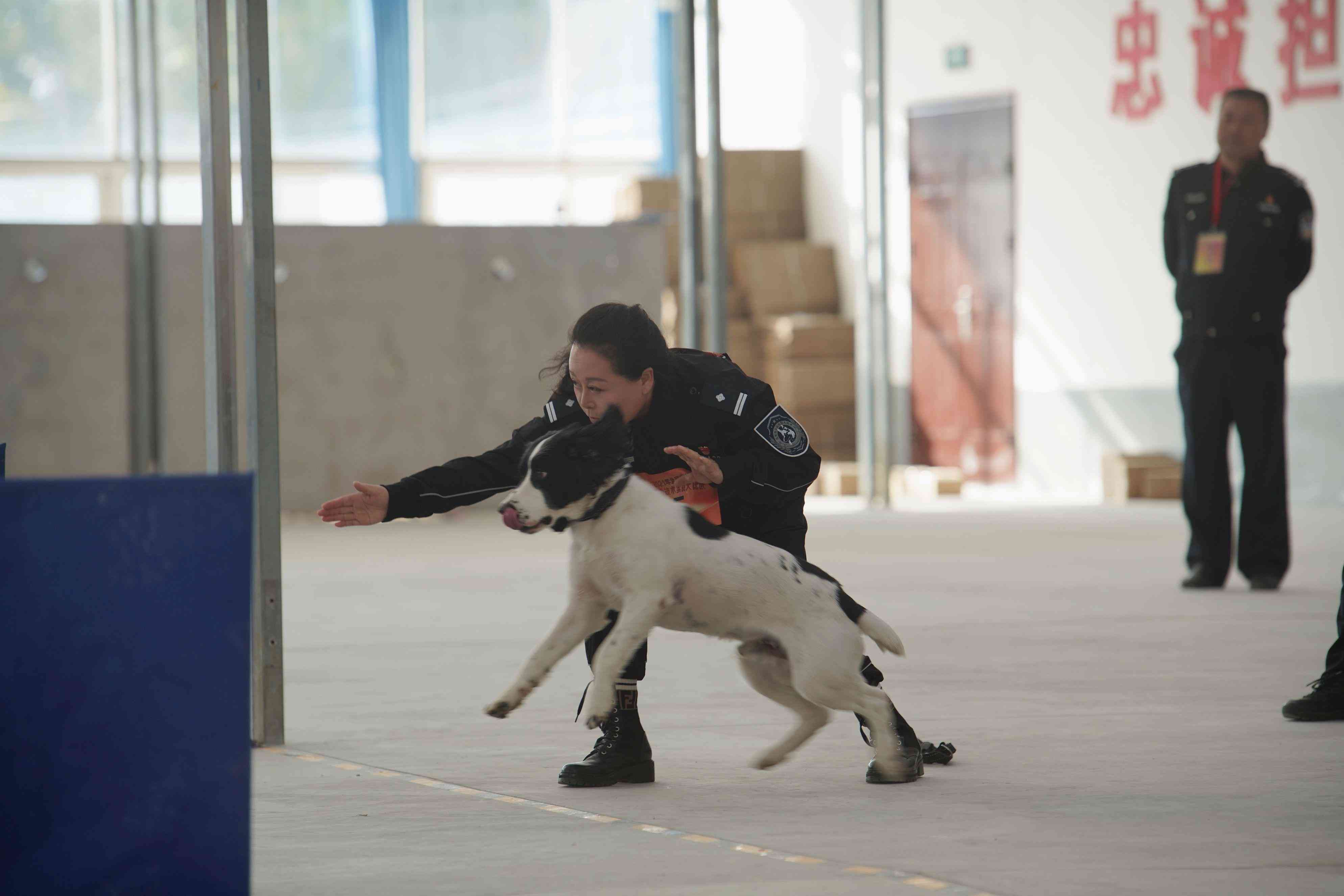化妝品對警犬嗅覺有干擾嘛(什么東西能影響犬的嗅覺)插圖4