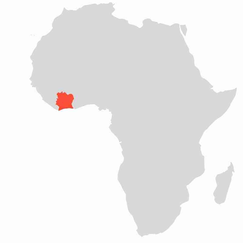 科特迪瓦做化妝品店好做嗎(科特迪瓦怎么樣)插圖9