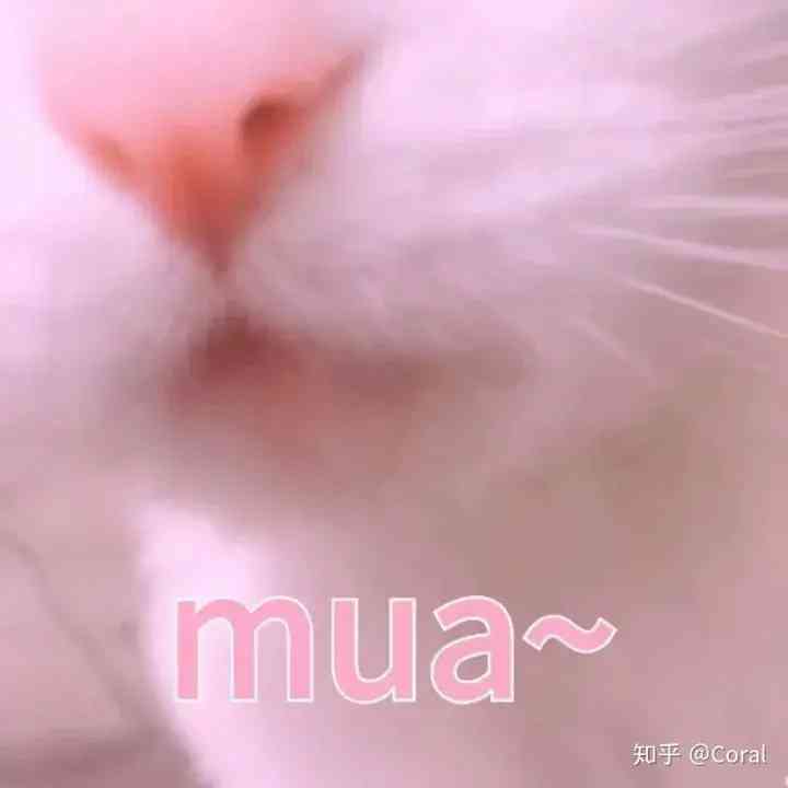 清純妝容必備化妝品(日常妝必備化妝品)插圖11