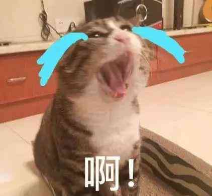 化妝品太貴了怎樣回答(化妝品太貴了怎樣回答客戶)插圖21