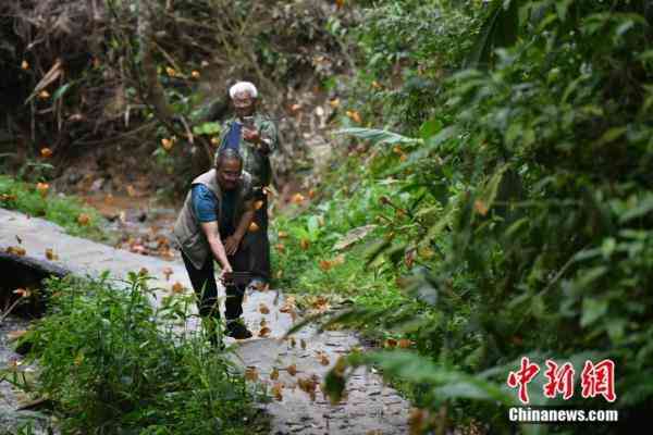 蝶美化妝品加盟地址(蝶美化妝品加盟地址查詢)插圖6