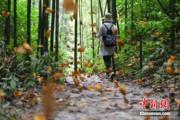 蝶美化妝品加盟地址(蝶美化妝品加盟地址查詢)插圖9