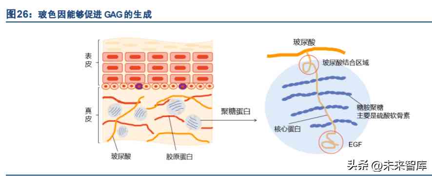關(guān)于化妝品方面的科研論文(對化妝品成分的研究的論文)插圖5