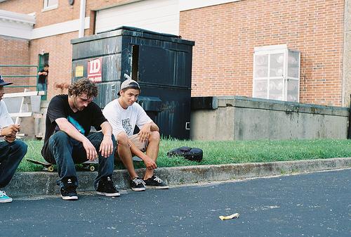 黃金葉多少錢一條