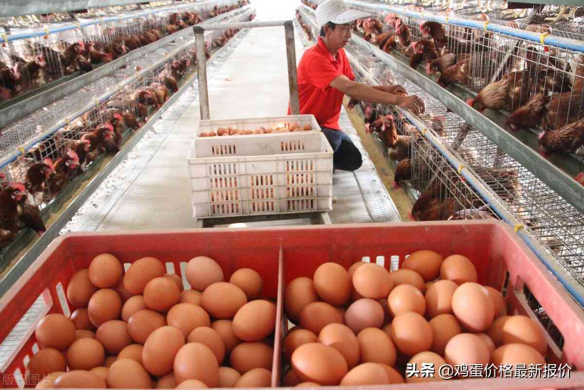 棗陽樓市現(xiàn)狀圖今日金價(jià)(棗陽樓市現(xiàn)狀圖今日金價(jià)查詢)插圖1