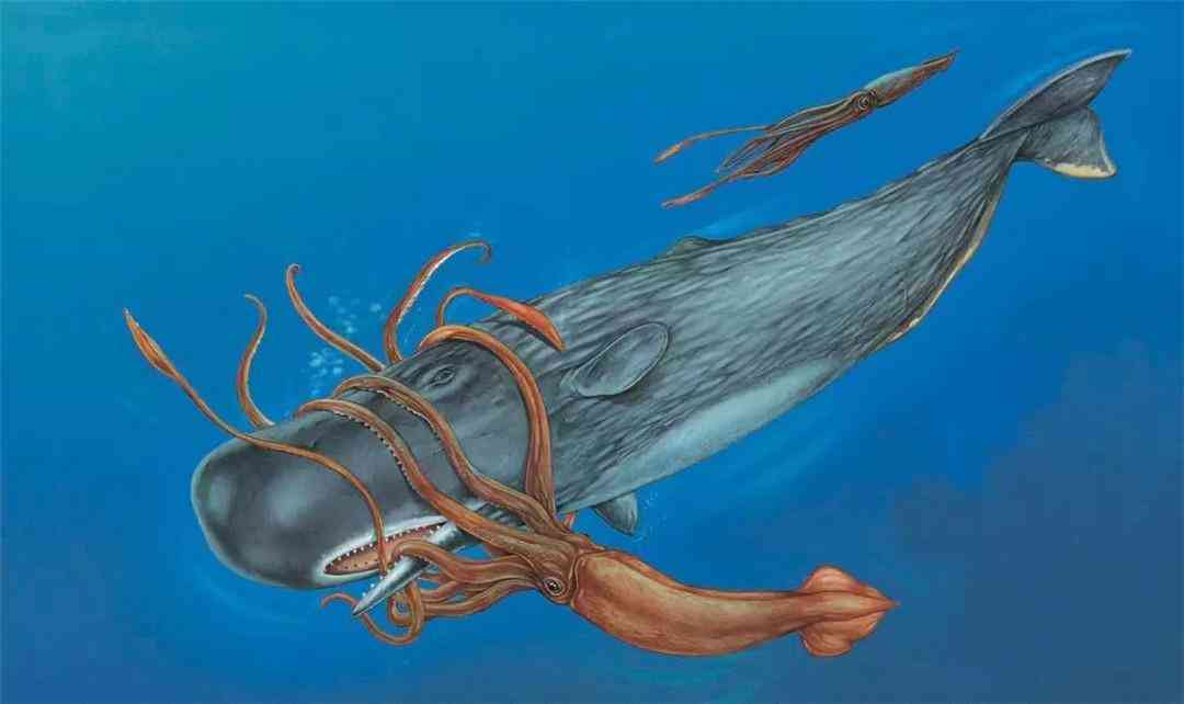 羅山回收黃金價(jià)格今日查詢(羅山回收黃金價(jià)格今日查詢表)插圖2