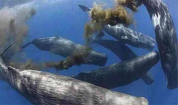 羅山回收黃金價(jià)格今日查詢(羅山回收黃金價(jià)格今日查詢表)插圖3