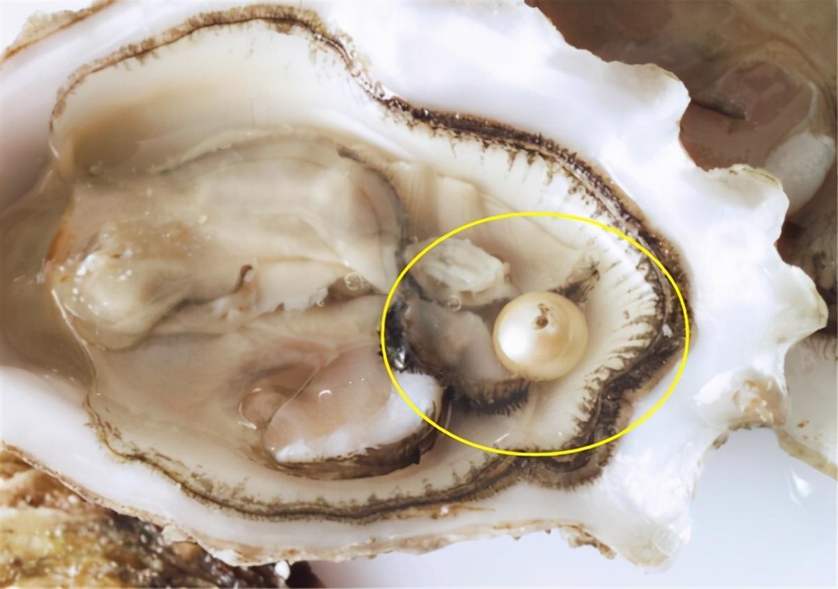 羅山回收黃金價(jià)格今日查詢(羅山回收黃金價(jià)格今日查詢表)插圖7