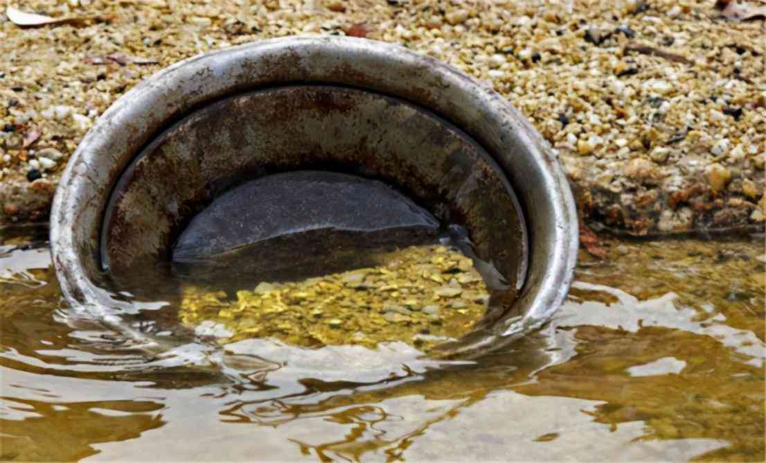 羅山回收黃金價(jià)格今日查詢(羅山回收黃金價(jià)格今日查詢表)插圖11