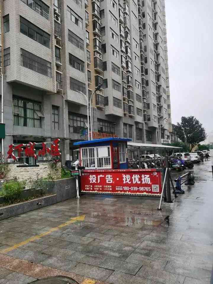 今日長葛黃金價格(今日長葛黃金價格查詢)