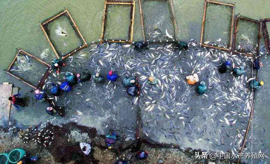 吳江地區(qū)回收黃金價格今日(吳江地區(qū)回收黃金價格今日表)插圖2