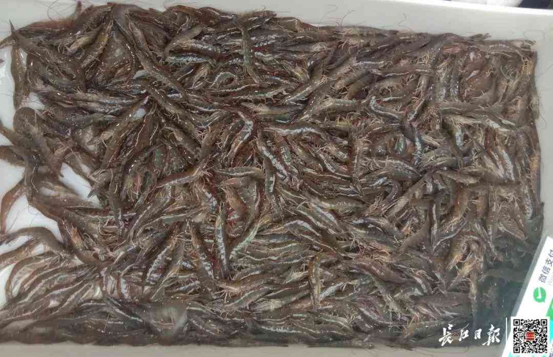 武漢金價(jià)今日金價(jià)查詢(武漢金價(jià)今日金價(jià)查詢表)