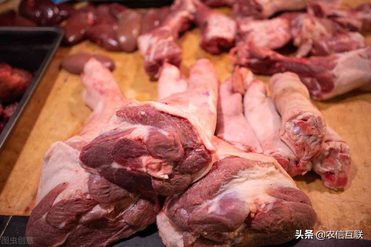 今日豬價(jià)黃金價(jià)格表(今日豬價(jià)黃金價(jià)格表查詢)插圖1