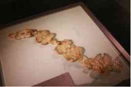 玉環(huán)今日金價多少一克(玉環(huán)今日金價多少一克呢)插圖11