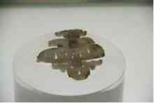 玉環(huán)今日金價多少一克(玉環(huán)今日金價多少一克呢)插圖12