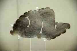 玉環(huán)今日金價多少一克(玉環(huán)今日金價多少一克呢)插圖18